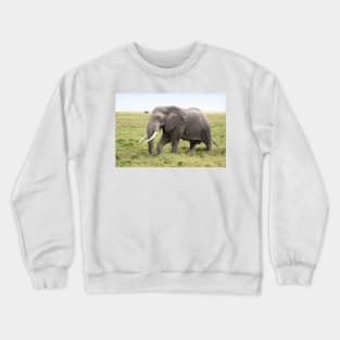 Bull Elephant Following the Herd, Amboseli, Kenya Crewneck Sweatshirt